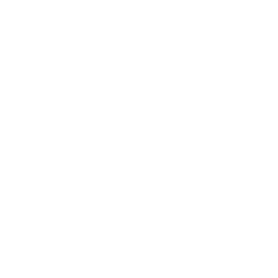 evatik-icon