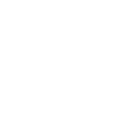 i-green-icon