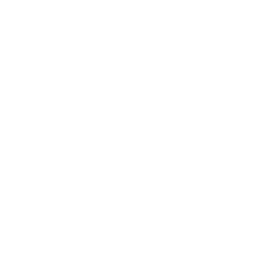 kate-spade-icon