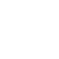 modo-icon